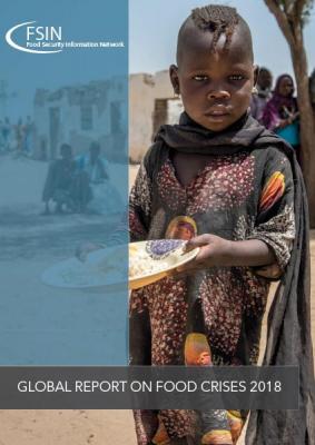 Global Report On Food Crises Food Security Information Network Fsin